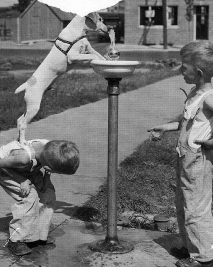 A time when there were no iPads yet, and children played outside.