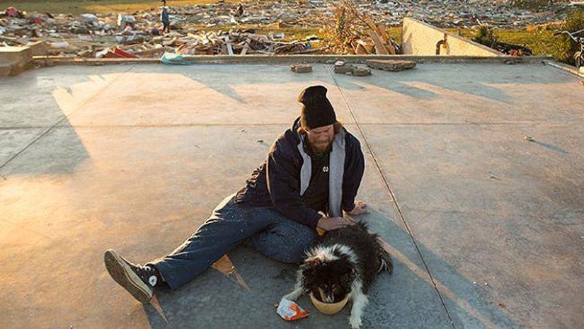 A touching story: Beloved pet was found under the rubble of the house
