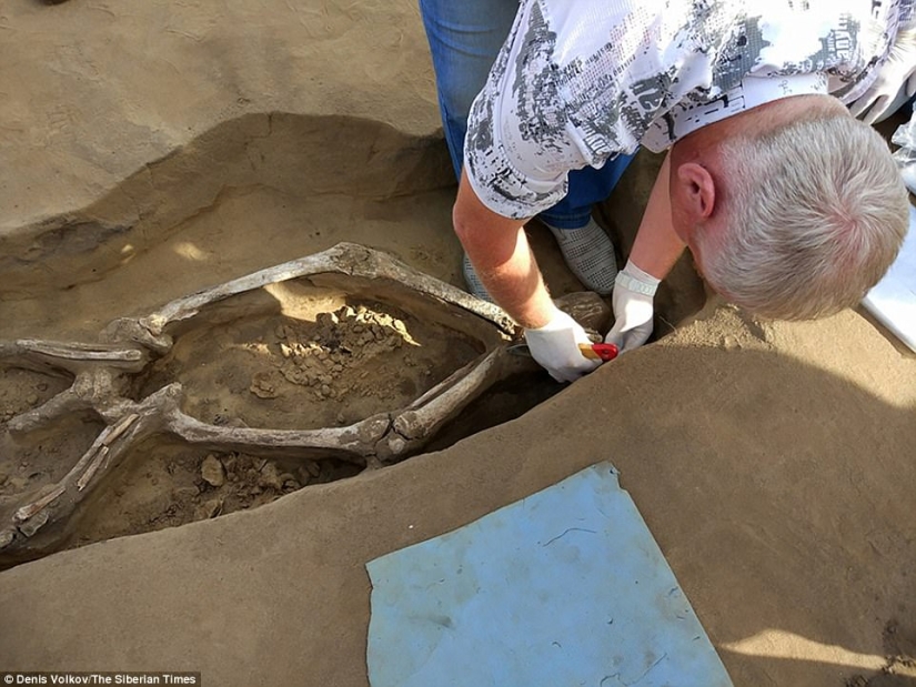 A unique burial with a "dancing" skeleton has been discovered in Siberia