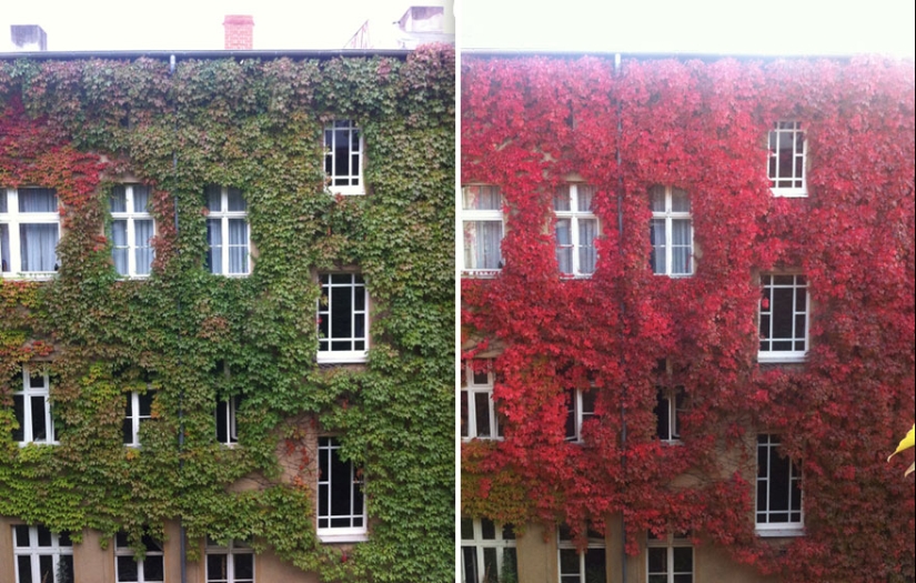 A wonderful dozen amazingly beautiful autumn transformations