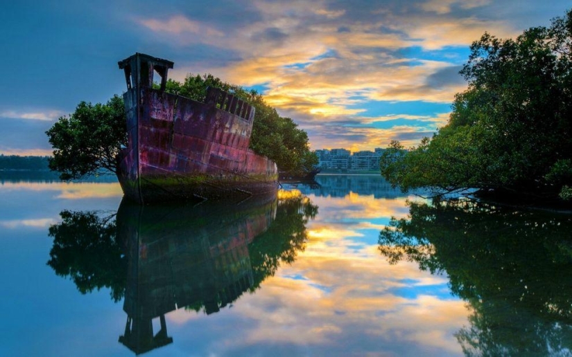 Abandoned ship SS Ayrfield - floating mangrove forest