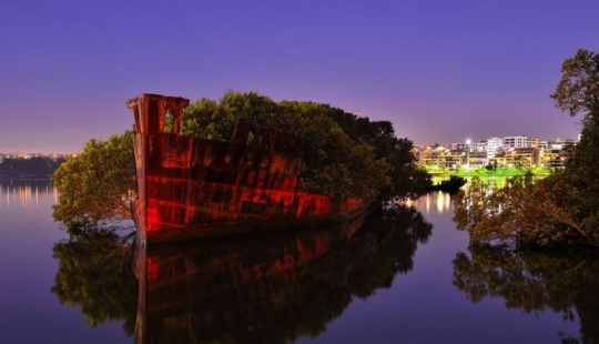 Abandoned ship SS Ayrfield - floating mangrove forest