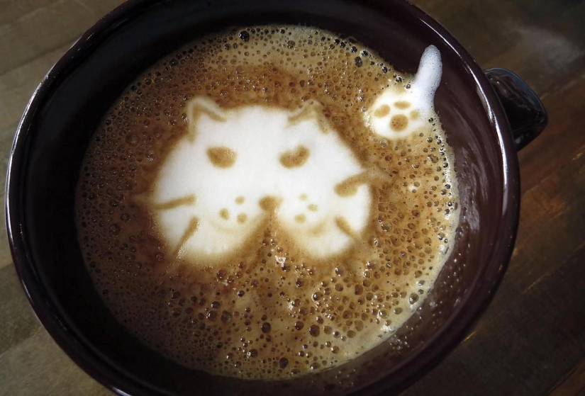 Abre el primer café para gatos en Nueva York