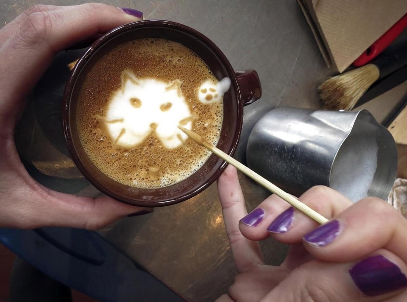 Abre el primer café para gatos en Nueva York