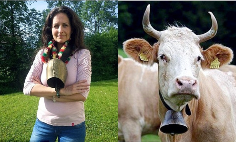 Activista vegana a la que se le niega la ciudadanía suiza Debido a una Pelea de Campana de Vaca