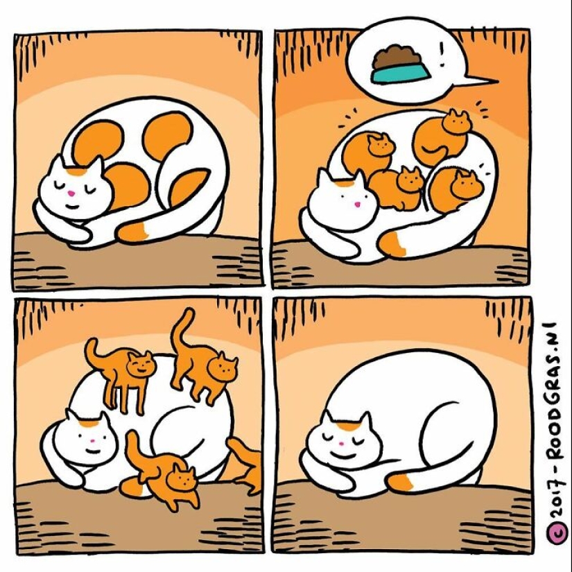 Adorable Wordless Cat Comics By This Dutch Artist