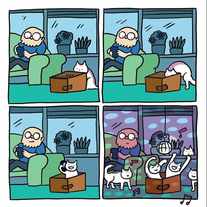 Adorable Wordless Cat Comics By This Dutch Artist