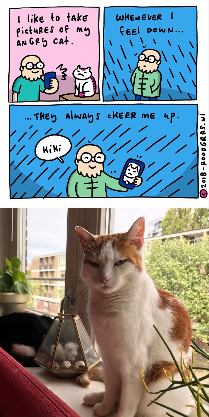 Adorables cómics sin palabras del gato de esta artista holandesa