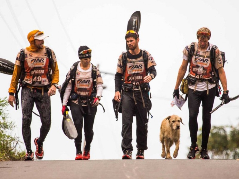 Adventure Race Winning Dog Story