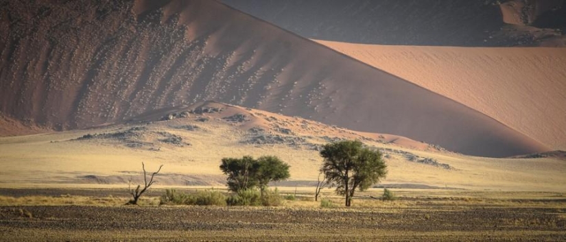Africa. Namibia. Namib Desert - Sossusvlei