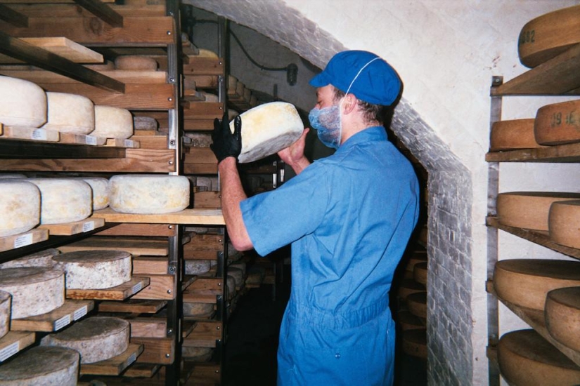 Agujero de queso: Un día en la vida de un quesero de Brooklyn