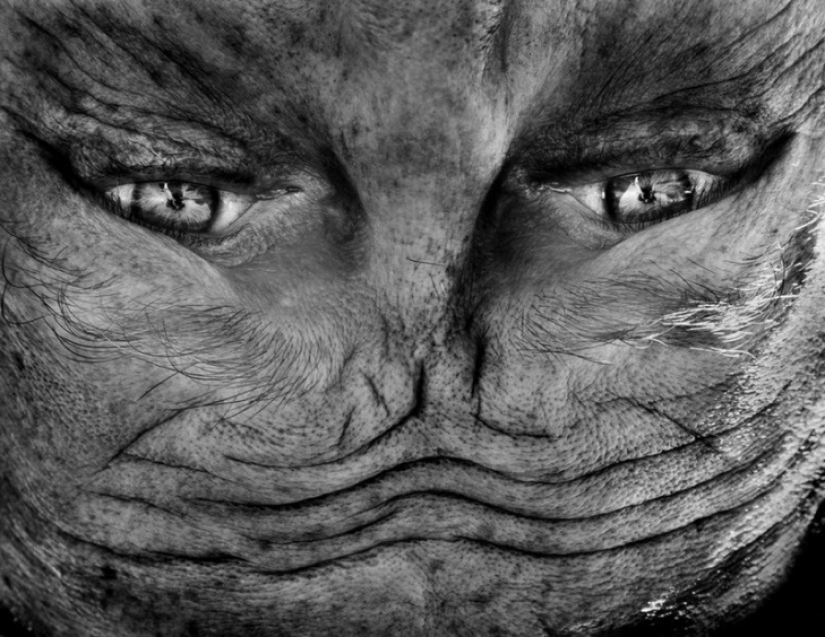 Aliens Among Us: Una cara invertida que se asemeja a un