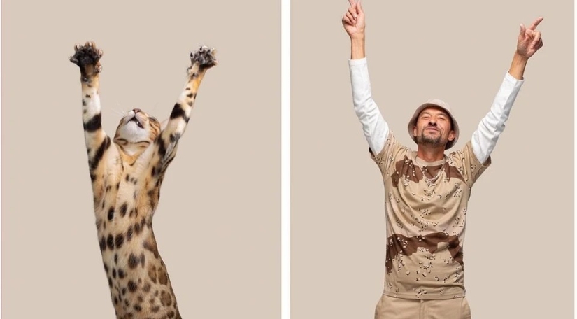 Almost indistinguishable: the photographer has shown how similar cats with their owners
