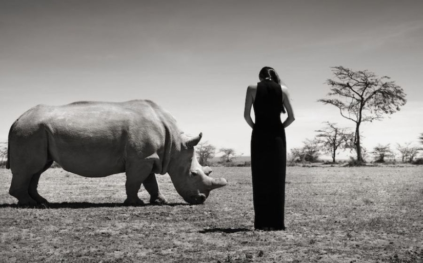 Amazing portraits of Asian models and celebrities with wild animals