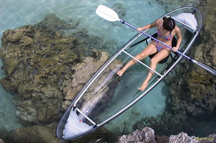 Amazing transparent boats