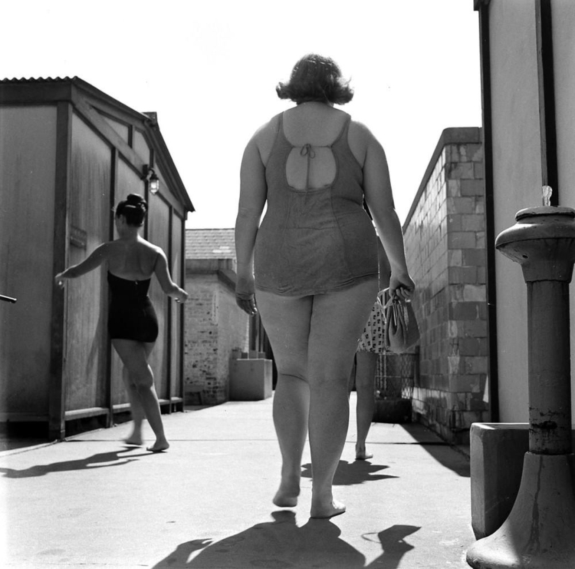 América obesa en los años 50