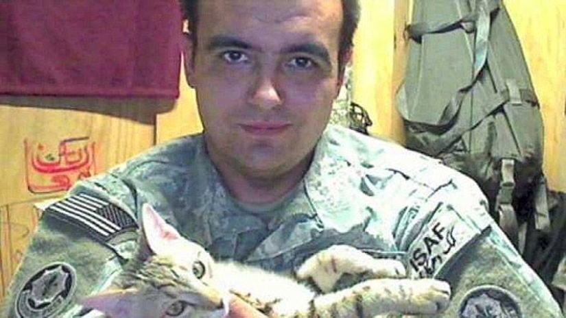 American soldier brought a cat from Afghanistan