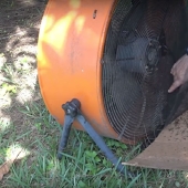 An American Kills 4,000 Mosquitoes Every Night Using His Dog as Bait