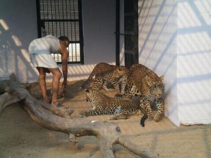 An Indian family has sheltered hundreds of orphaned wild animals, turning their home into a nature reserve