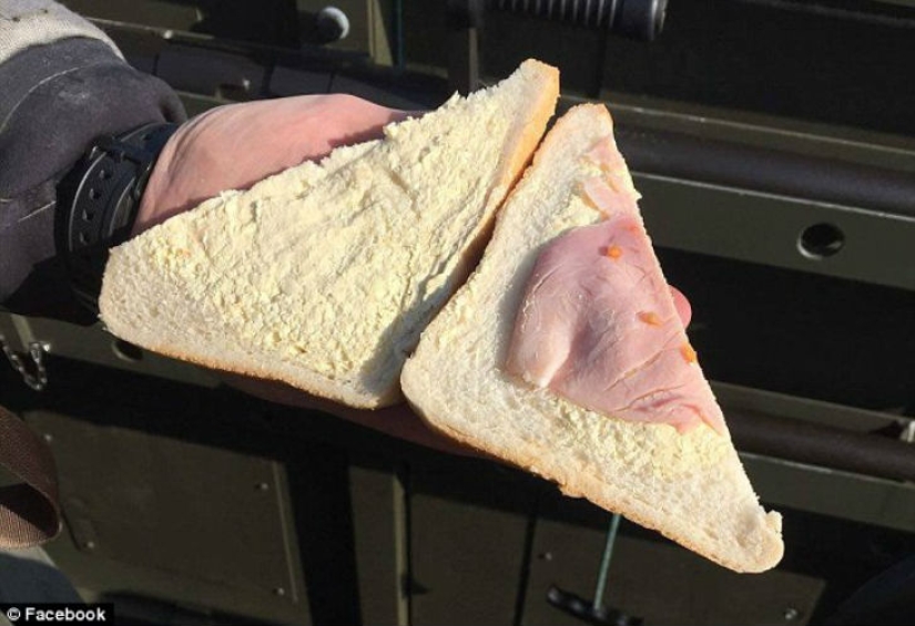An omelet with mold, rotten apples and raw chicken — what else is fed in the British army