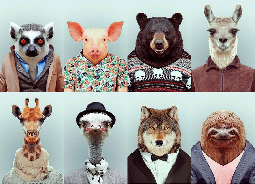 animales con ropa