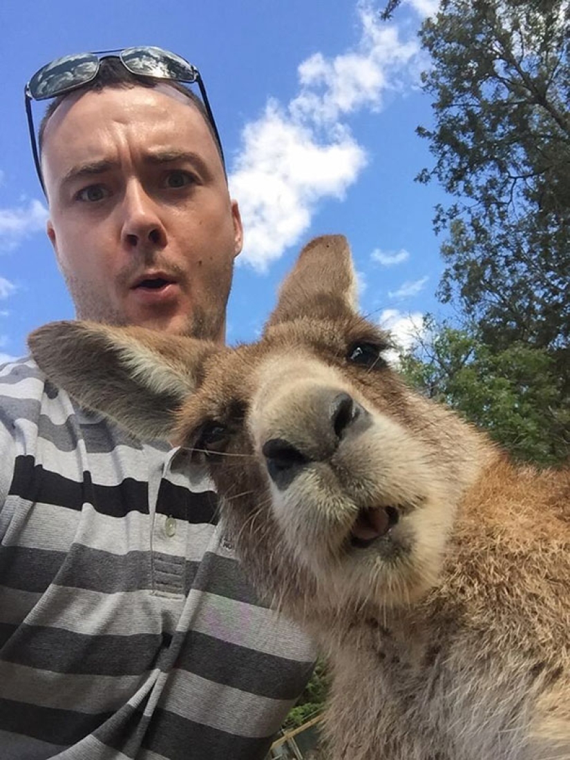 Animales que te enseñarán a tomar selfies