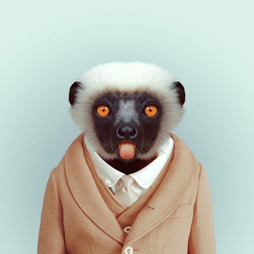 Animals in clothes