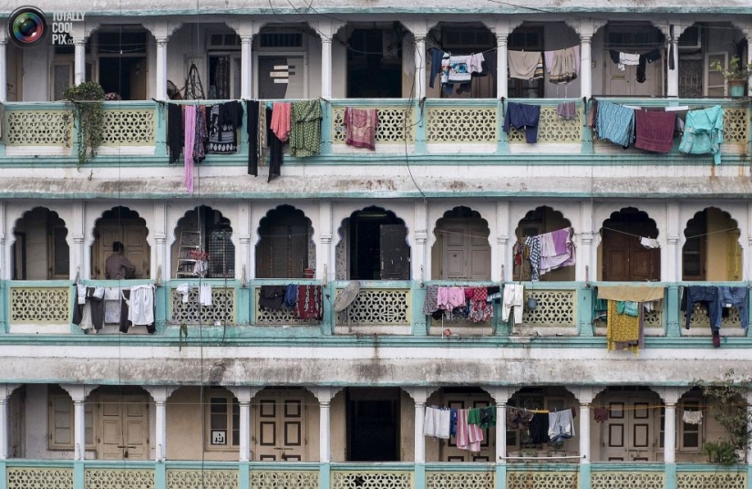 Anthill lives: Residential buildings of Mumbai