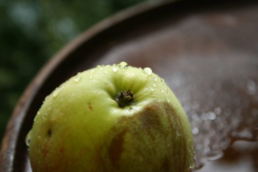 Apple with "sideways": why scientists believe that fruits with spots dangerous