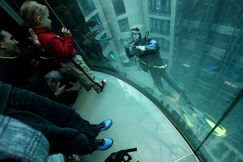 Aquadom - a huge aquarium at the Radisson Blu Hotel