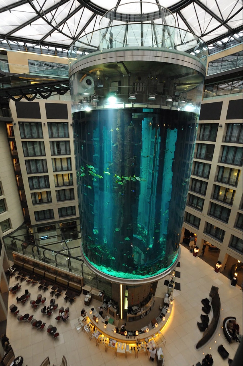 Aquadom - a huge aquarium at the Radisson Blu Hotel