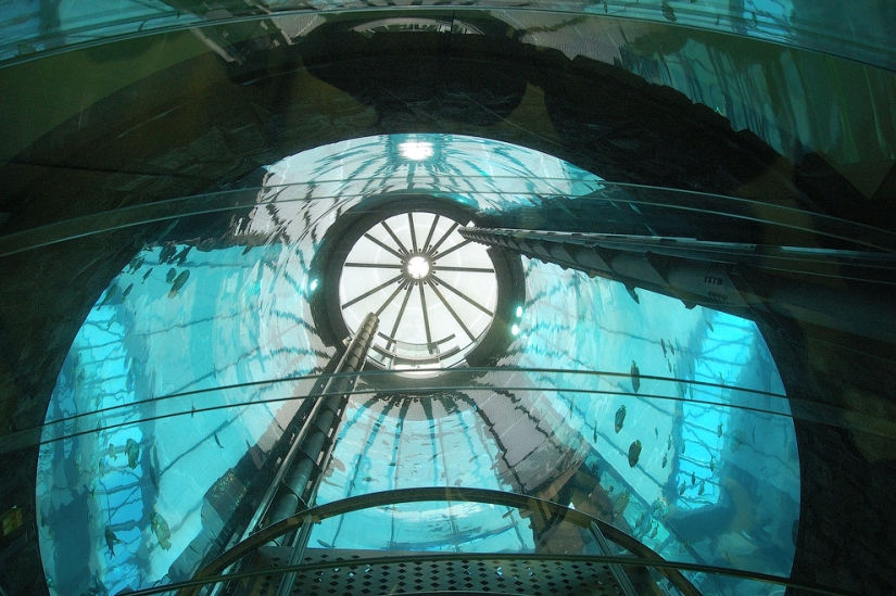 Aquadom - un enorme acuario en el Radisson Blu Hotel