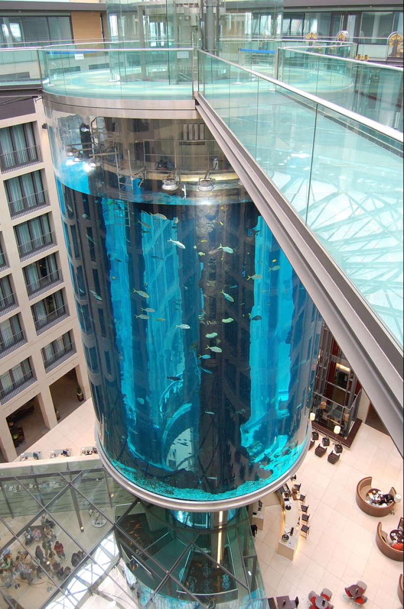 Aquadom - un enorme acuario en el Radisson Blu Hotel