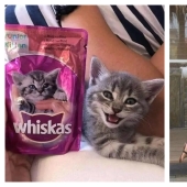 Are the accidents not random? 22 examples of cute coincidences that will amuse you