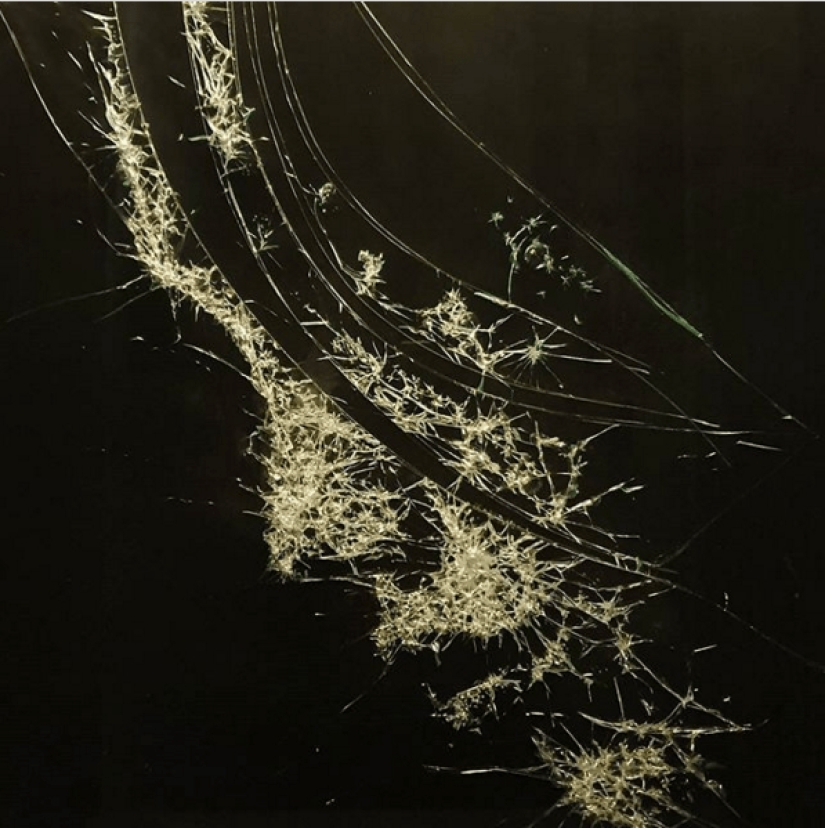 Artist Simon Berger breaks glass to create harmony and beauty out of chaos