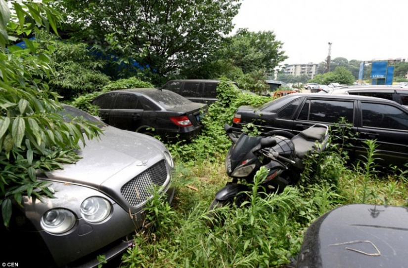 At the Chinese cemetery of luxury cars