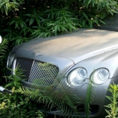 At the Chinese cemetery of luxury cars