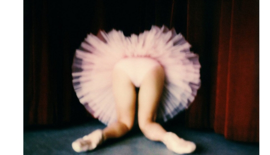 Atrevido, elegante, gentil: el fotógrafo mostró el mundo de las bailarinas