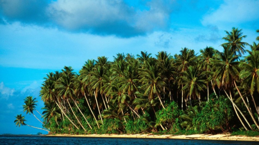 Australian wins Tropical island in online lottery