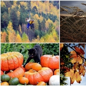 Autumn is in the air