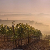 Autumn Tuscany