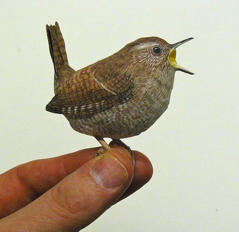 Aves de papel 3D increíblemente realistas