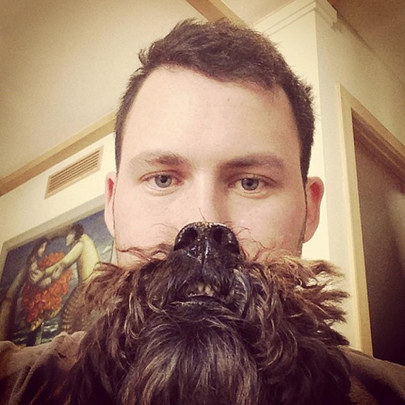 barbas de perro