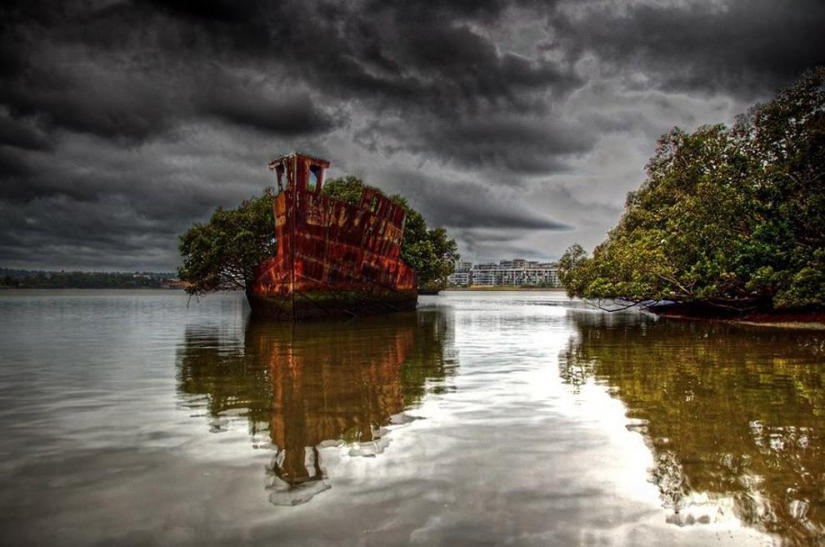 Barco abandonado SS Ayrfield - bosque de manglar flotante