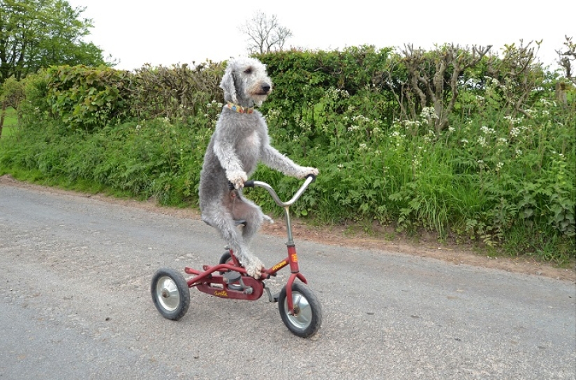 Barry &quot;I will ride the bike for a long time&quot; from England