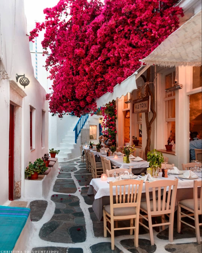 Beautiful Greek street in the pictures of Christina Courtside