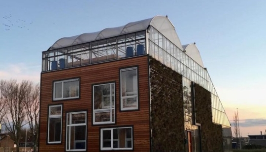 Beds between rooms: the family settled in a greenhouse house for three years