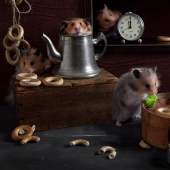 Bodegones con hamsters