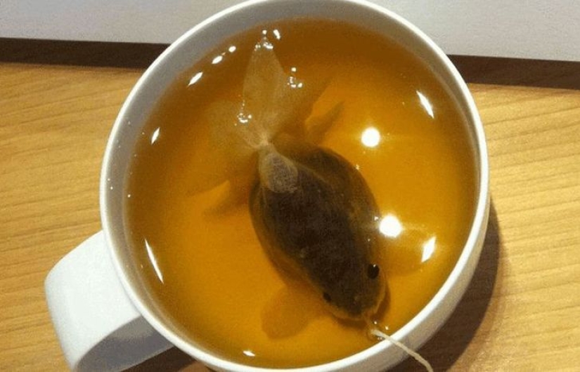 Bolsitas de té que se convierten en peces de colores en una taza