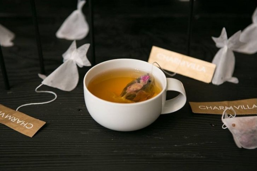 Bolsitas de té que se convierten en peces de colores en una taza